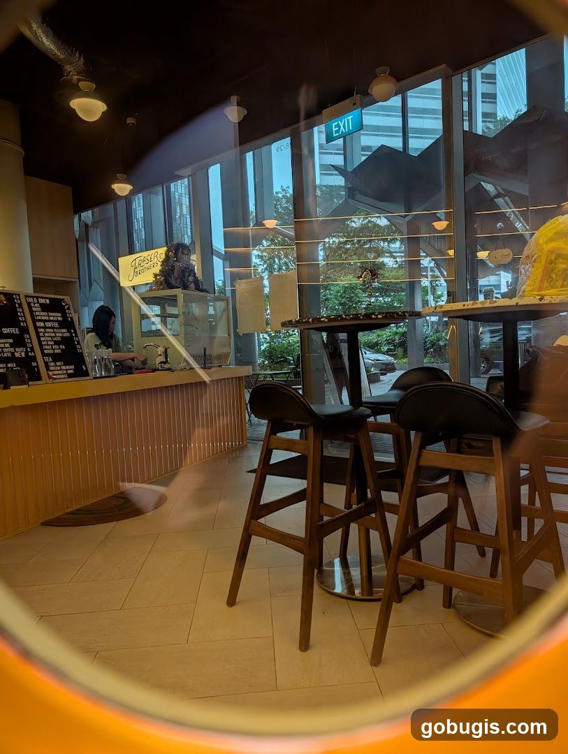 Cafe Interior with Bar and Seating
