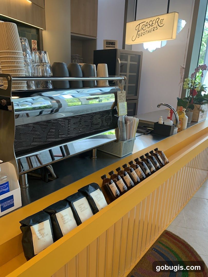 Coffee Shop Counter