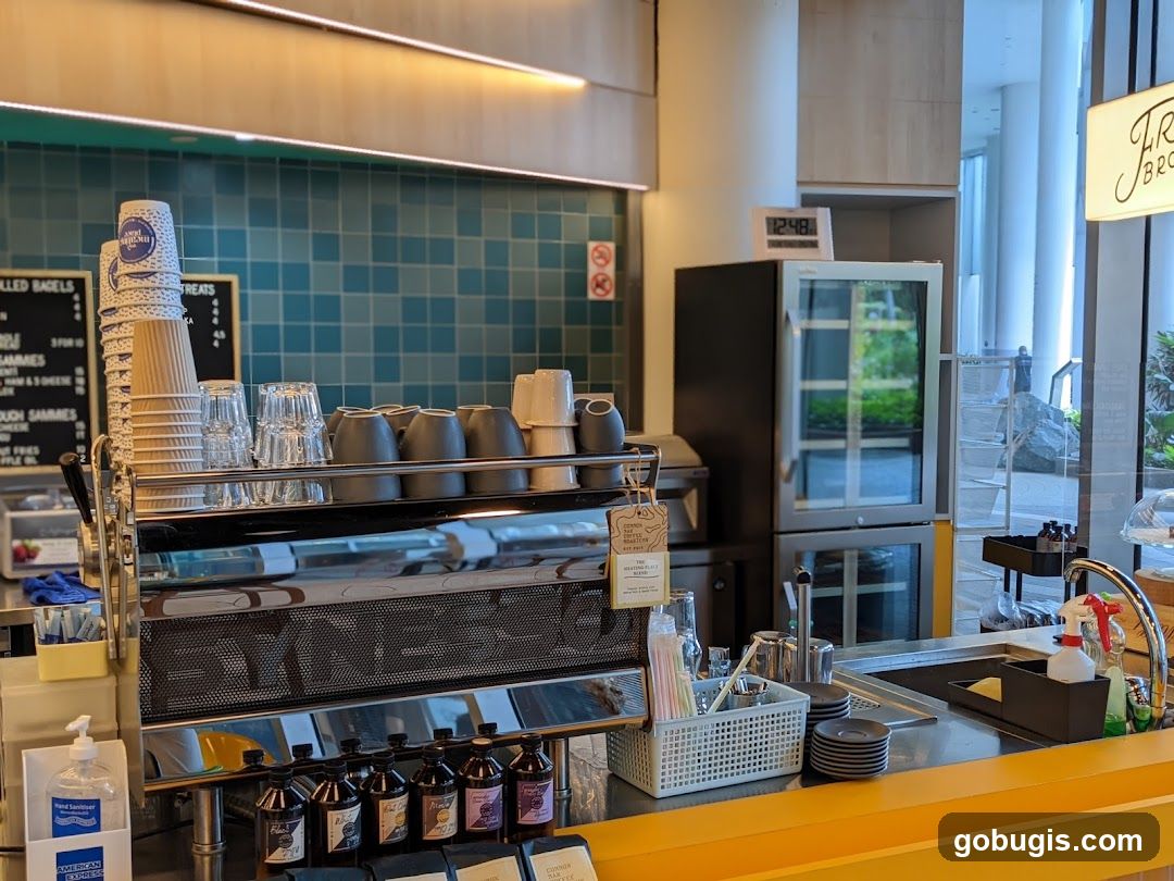 Coffee Shop Counter