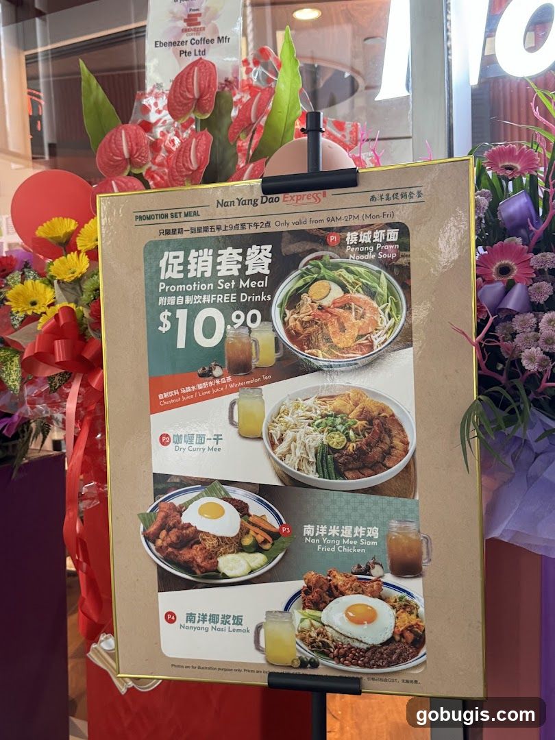 Nan Yang Dao Express Promotion Set Meal