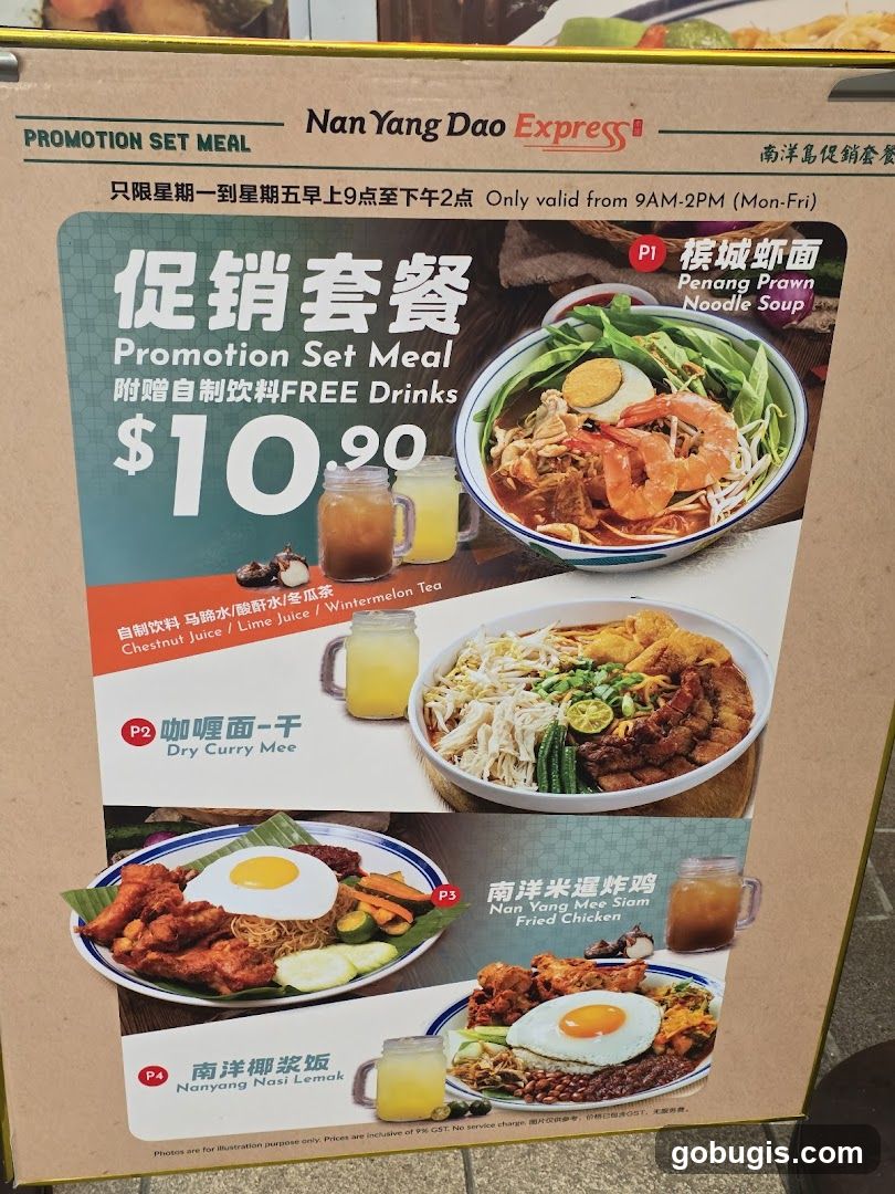 Nan Yang Dao Express Promotion Set Meal