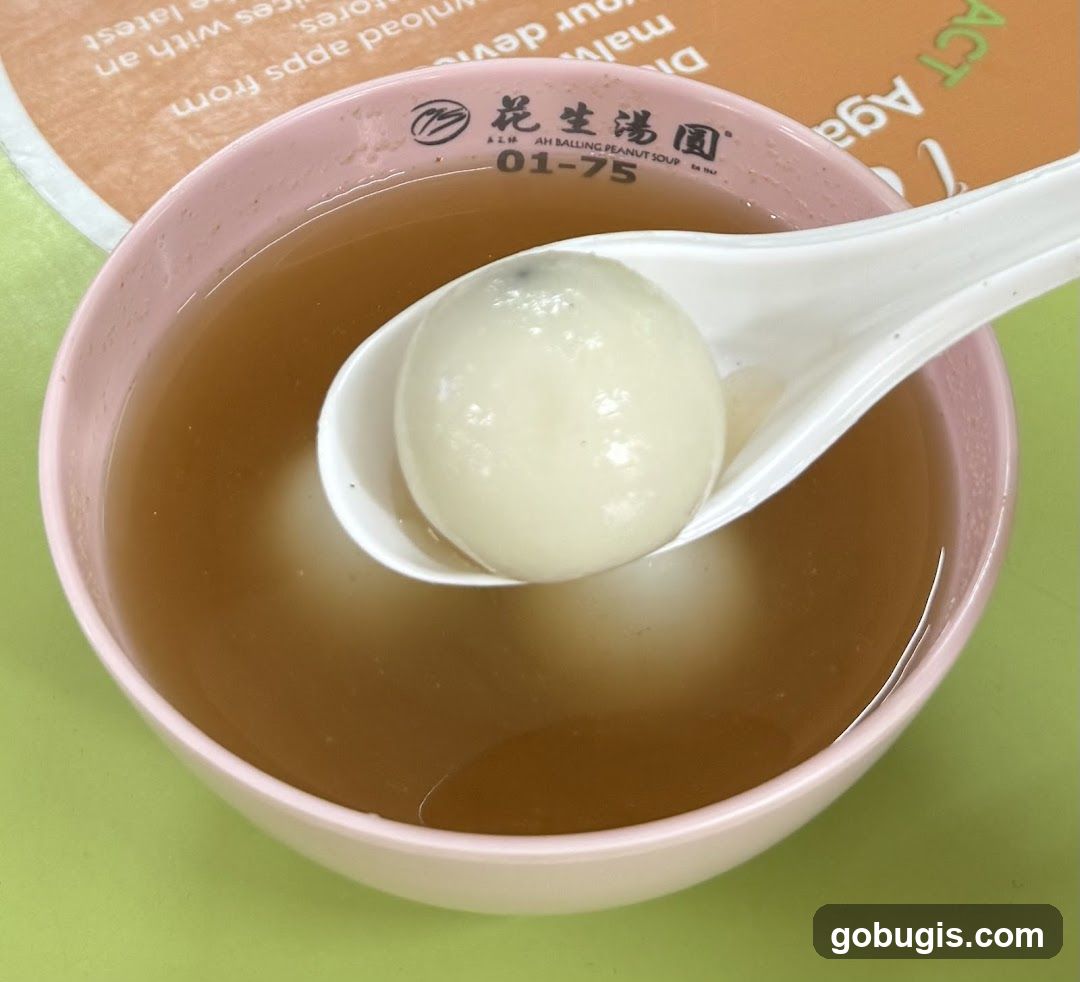 Peanut Soup with Tangyuan