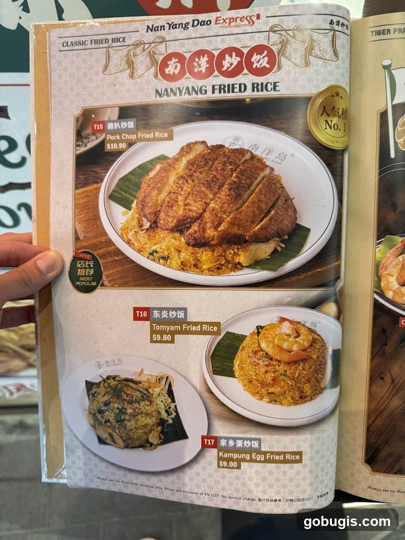 Nanyang Fried Rice Menu