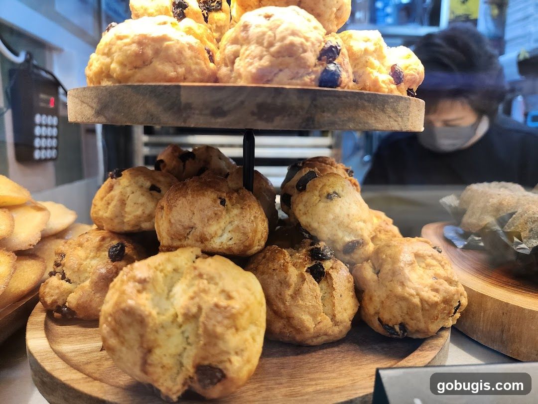 Scones and Madeleines