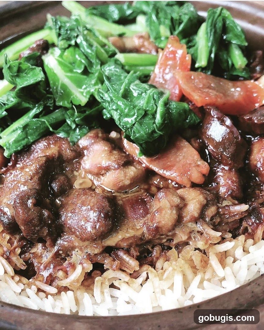 Claypot Rice