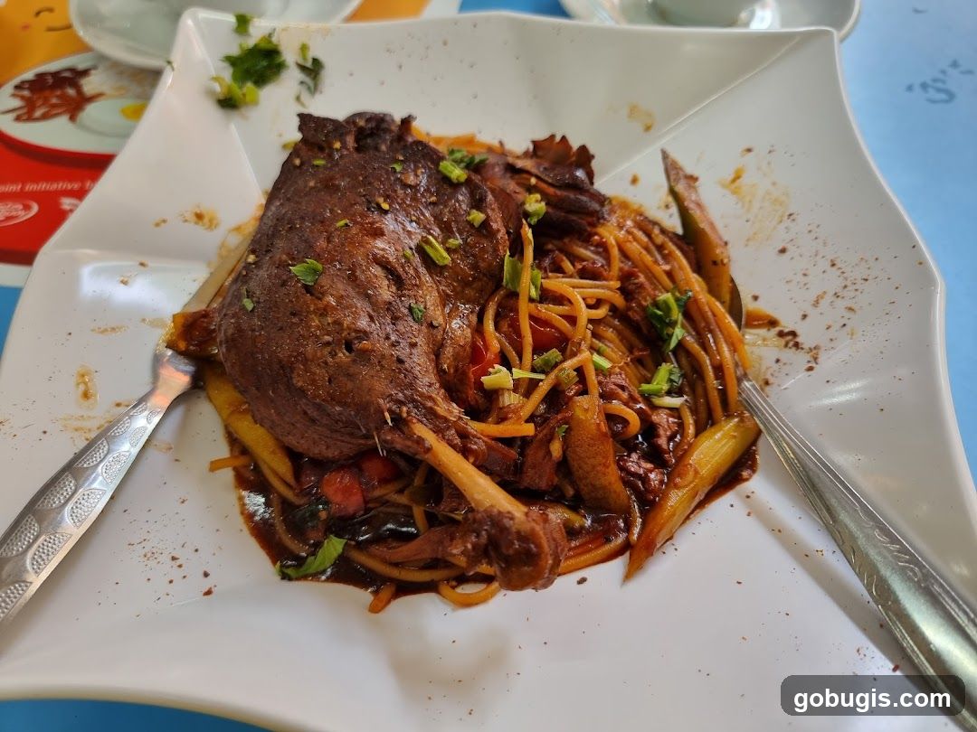 Braised Duck with Noodles