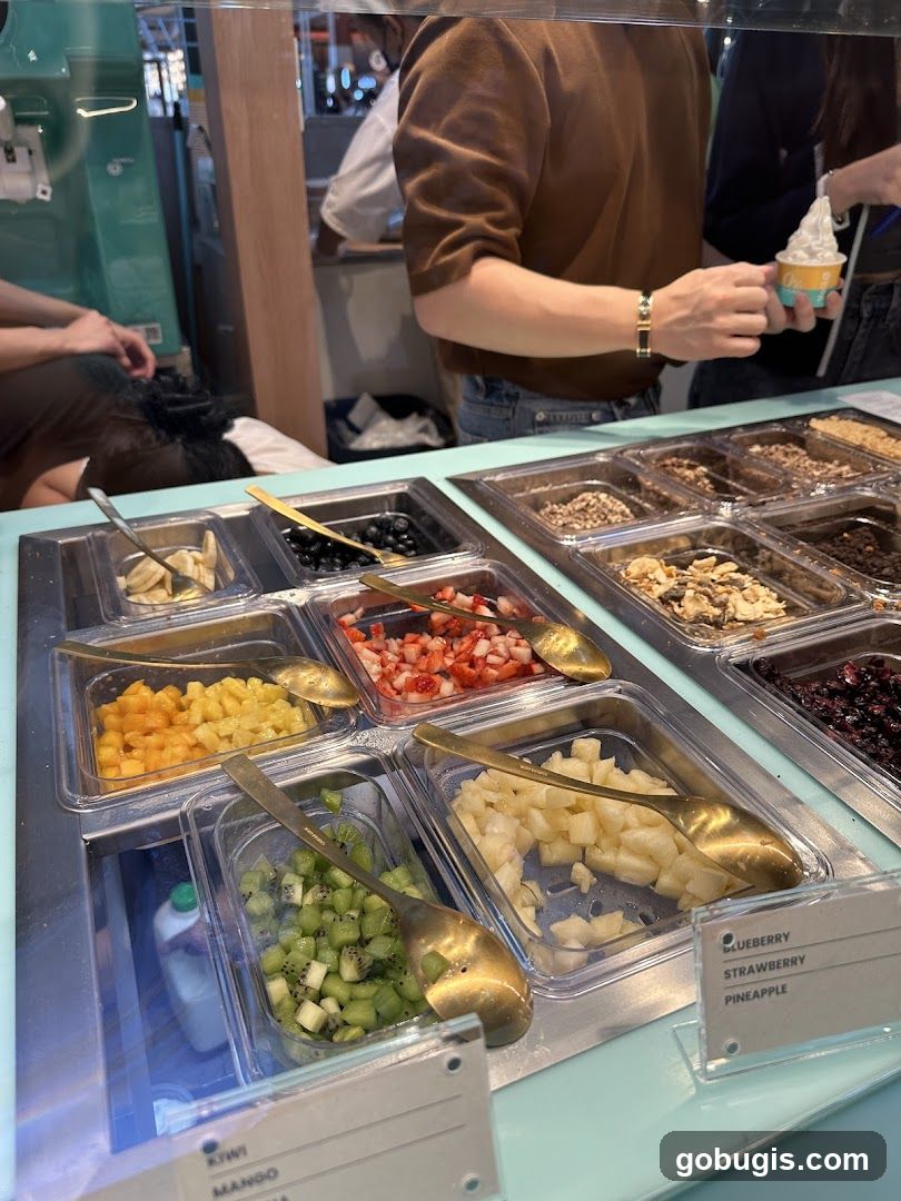 Frozen Yogurt Toppings Bar