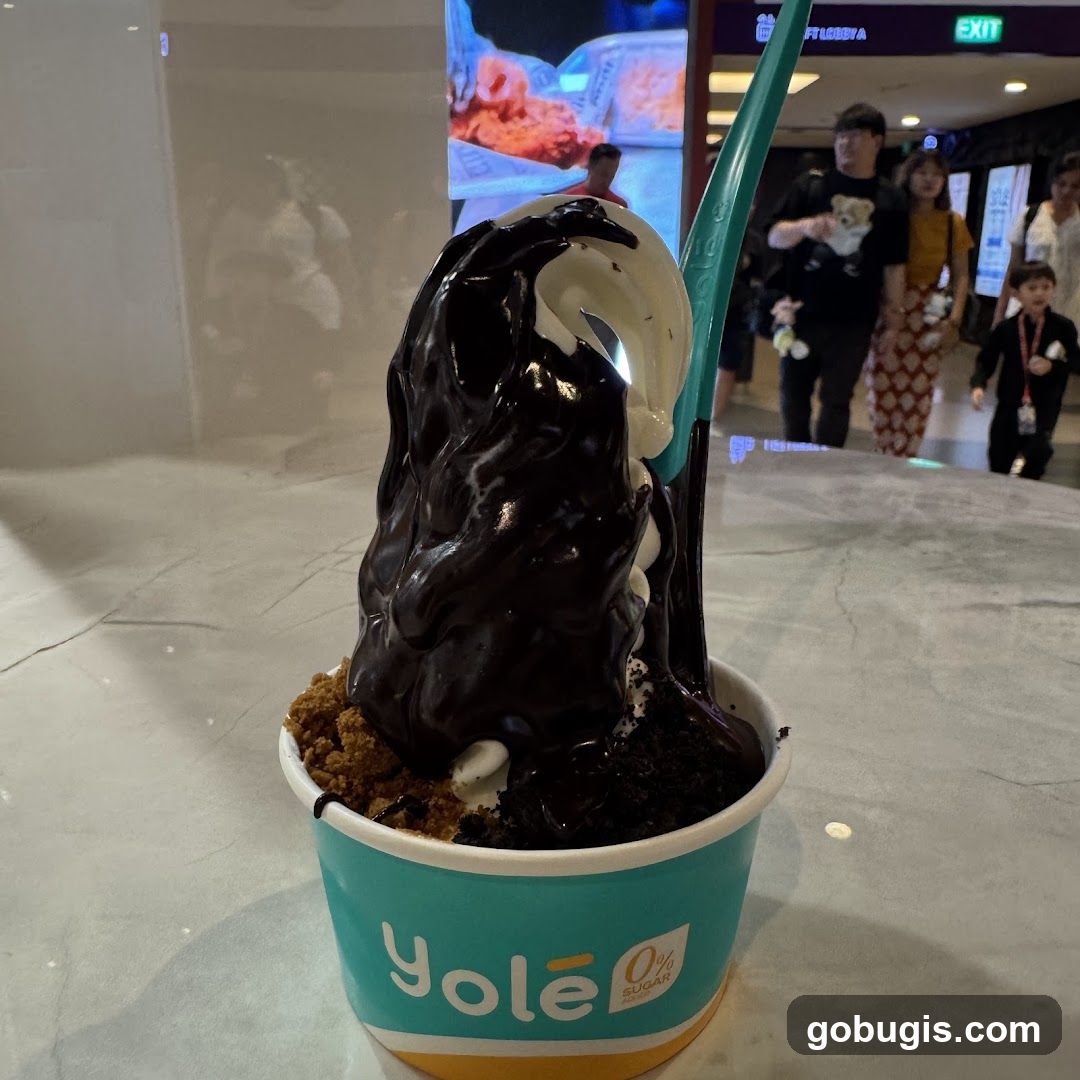 Yole Frozen Yogurt with Chocolate Topping