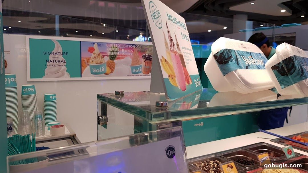 Frozen Yogurt Shop Counter