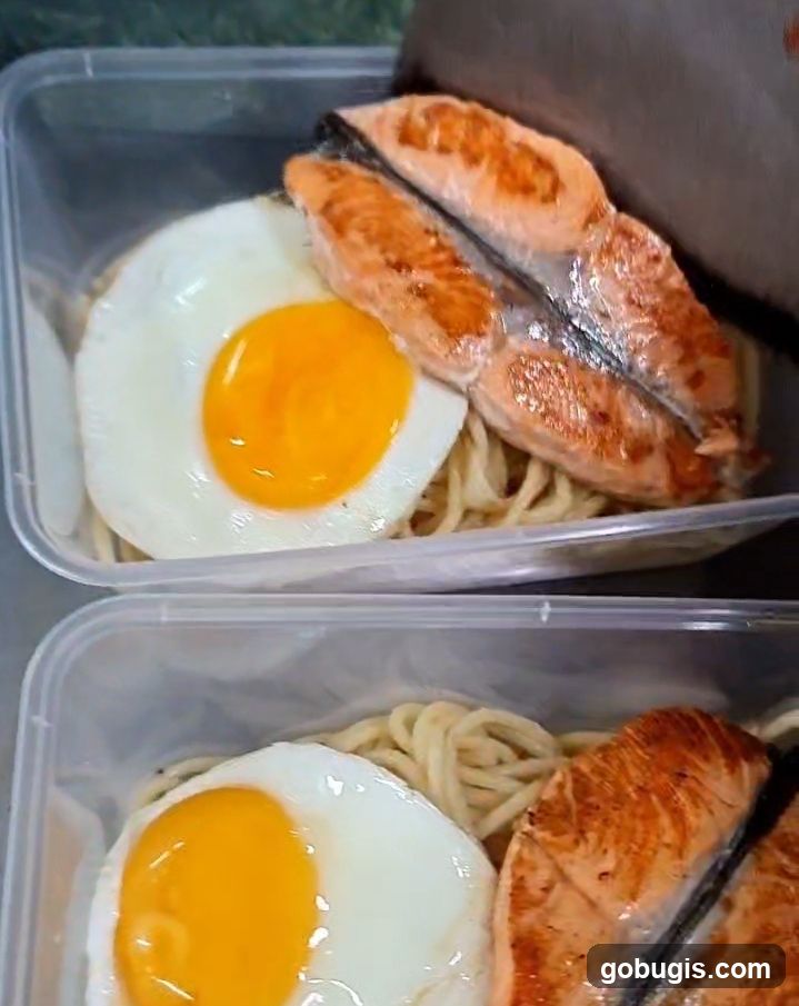 Salmon and Noodles Meal