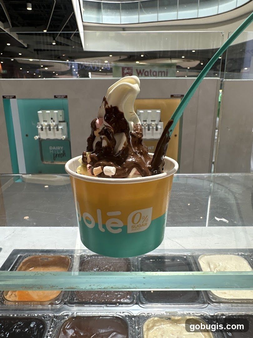 Soft Serve Ice Cream with Chocolate Drizzle