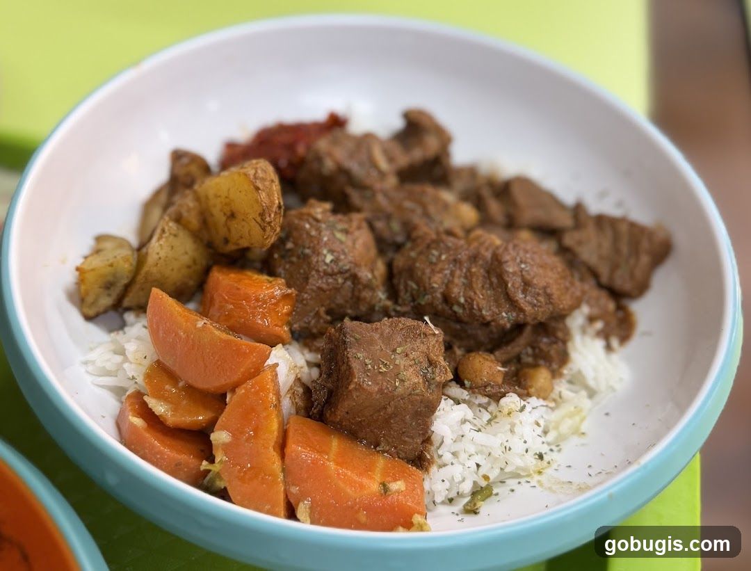Beef Stew with Rice and Vegetables