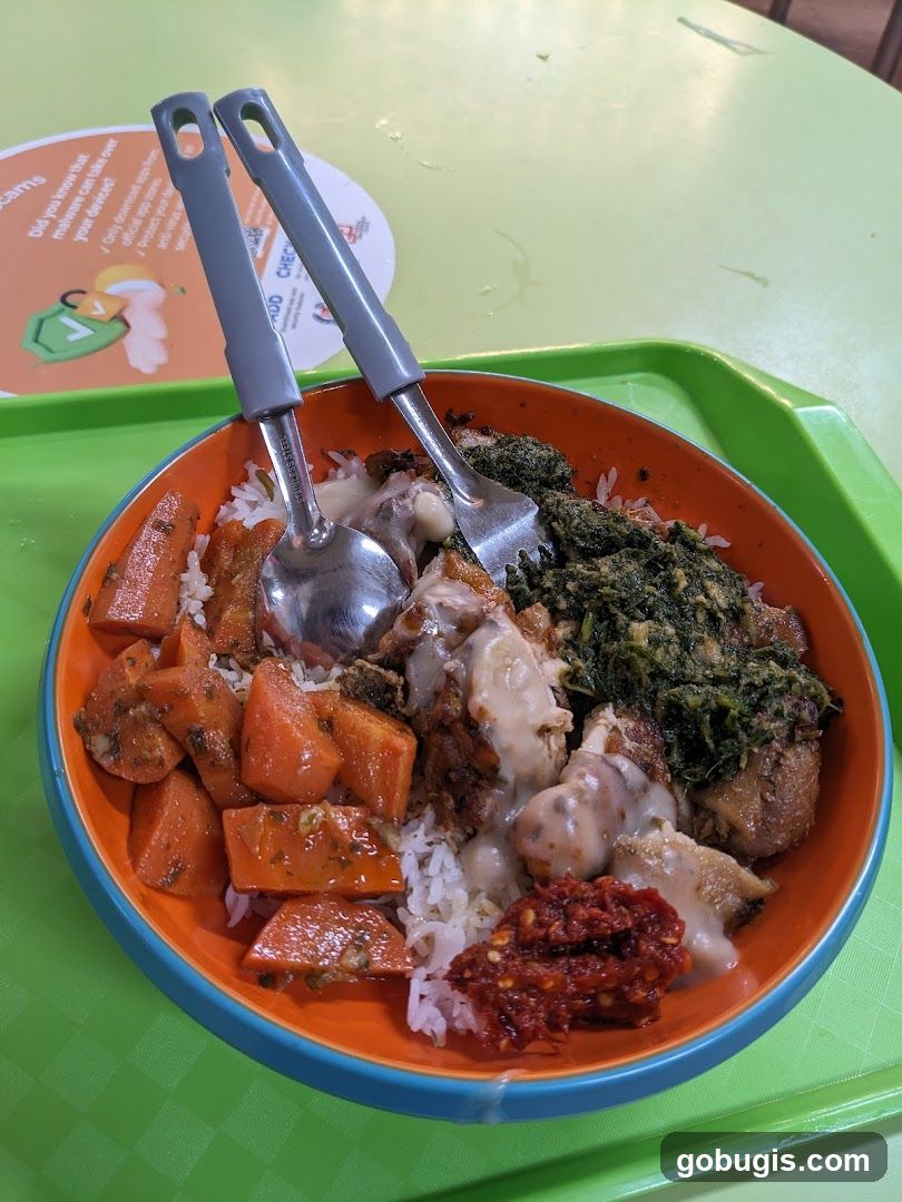 Rice Bowl with Various Toppings