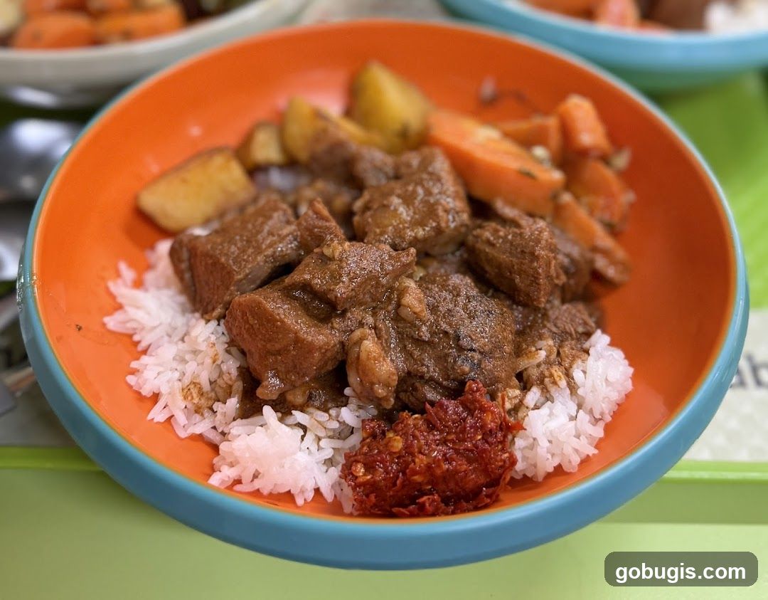 Beef Stew with Rice