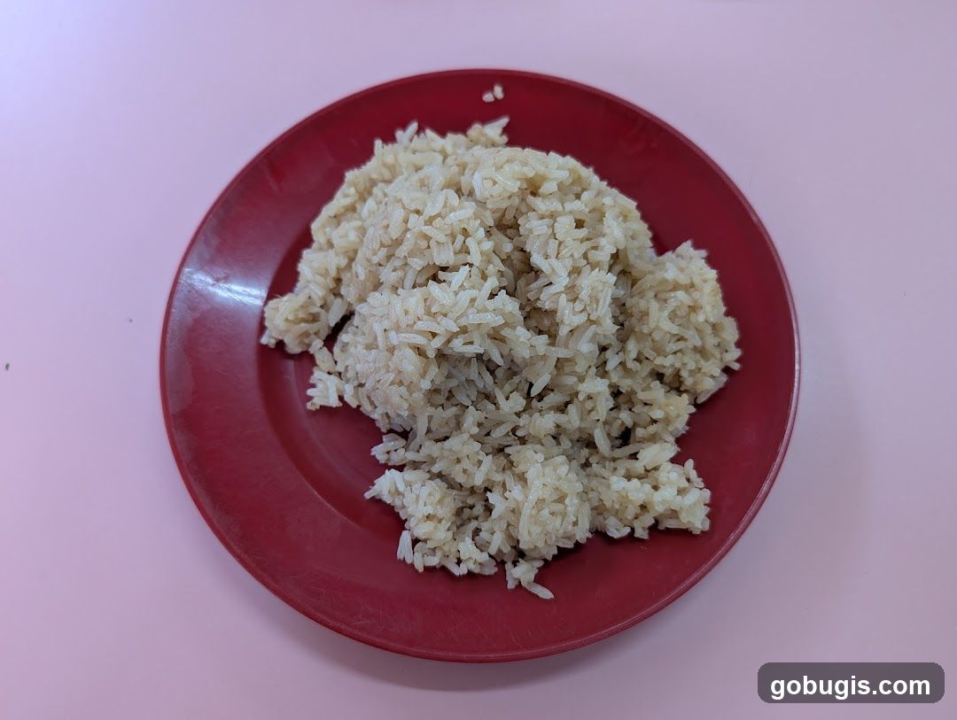 Plate of Rice