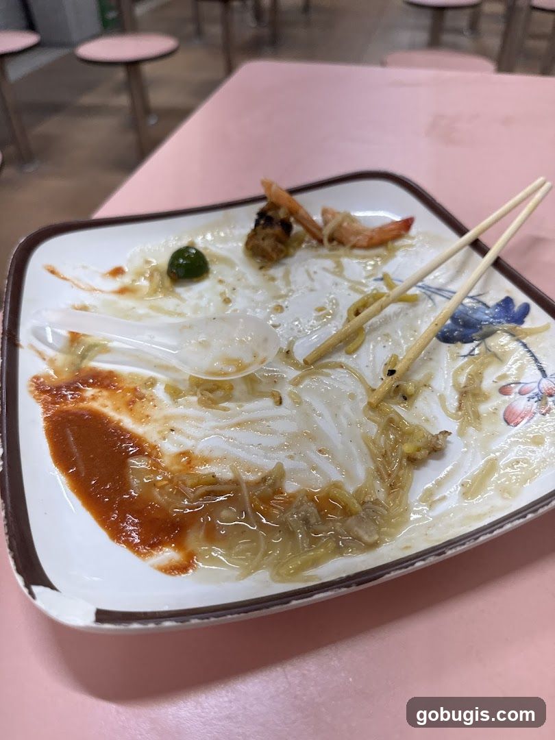 Dirty Plate with Leftovers