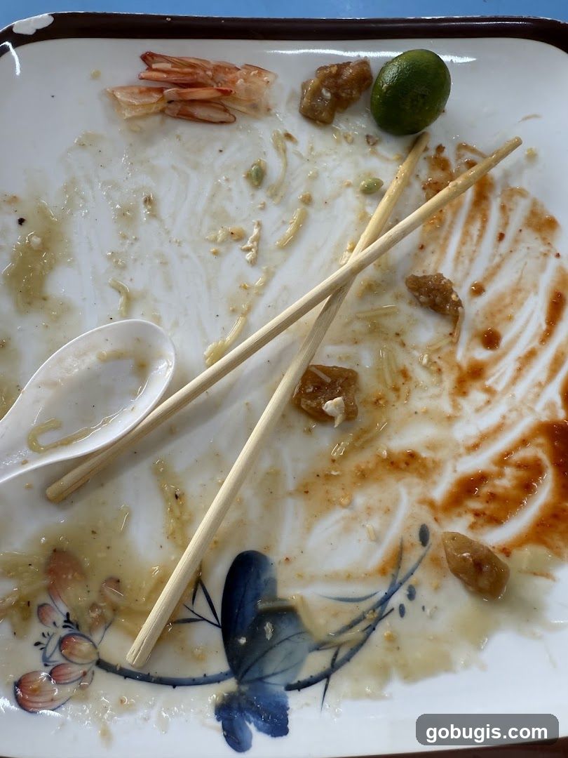 Dirty Plate with Leftovers