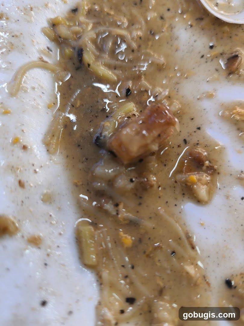 Leftover Food on Plate