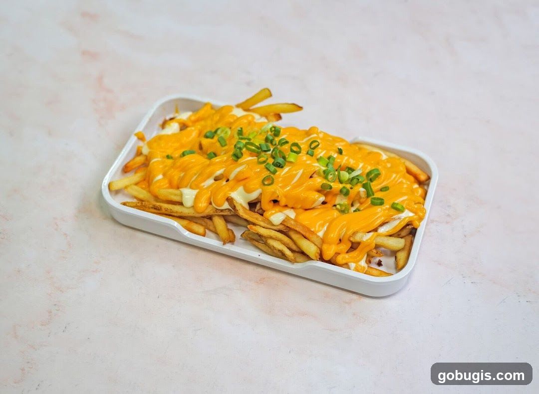Cheese Fries