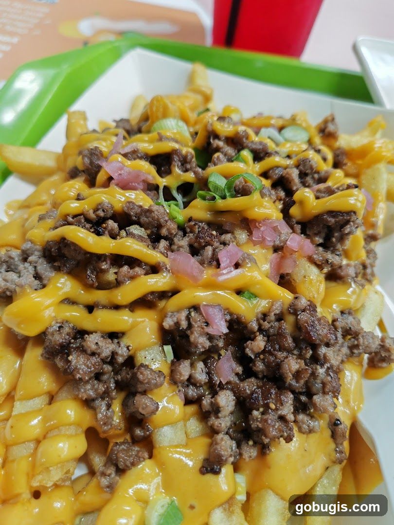 Cheesy Fries with Ground Beef