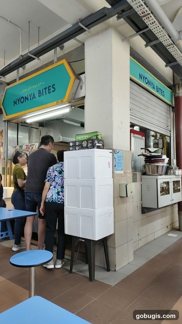 Nyonya Bites