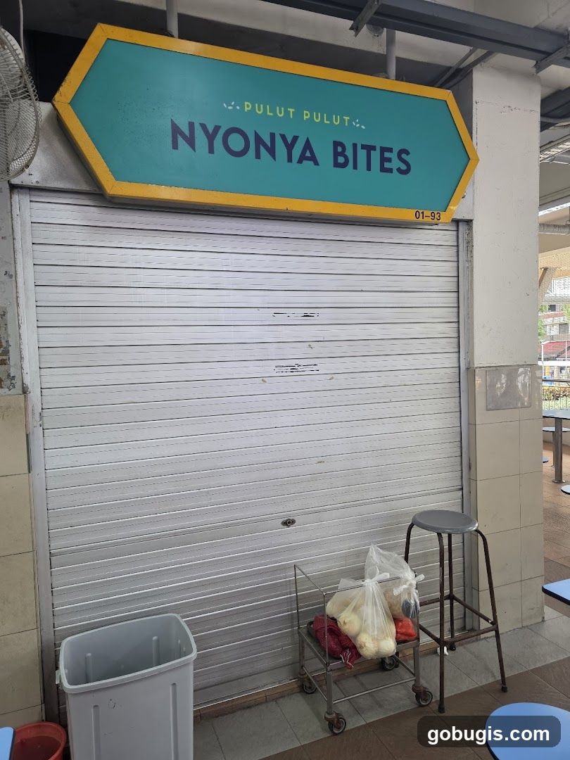 Nyonya Bites