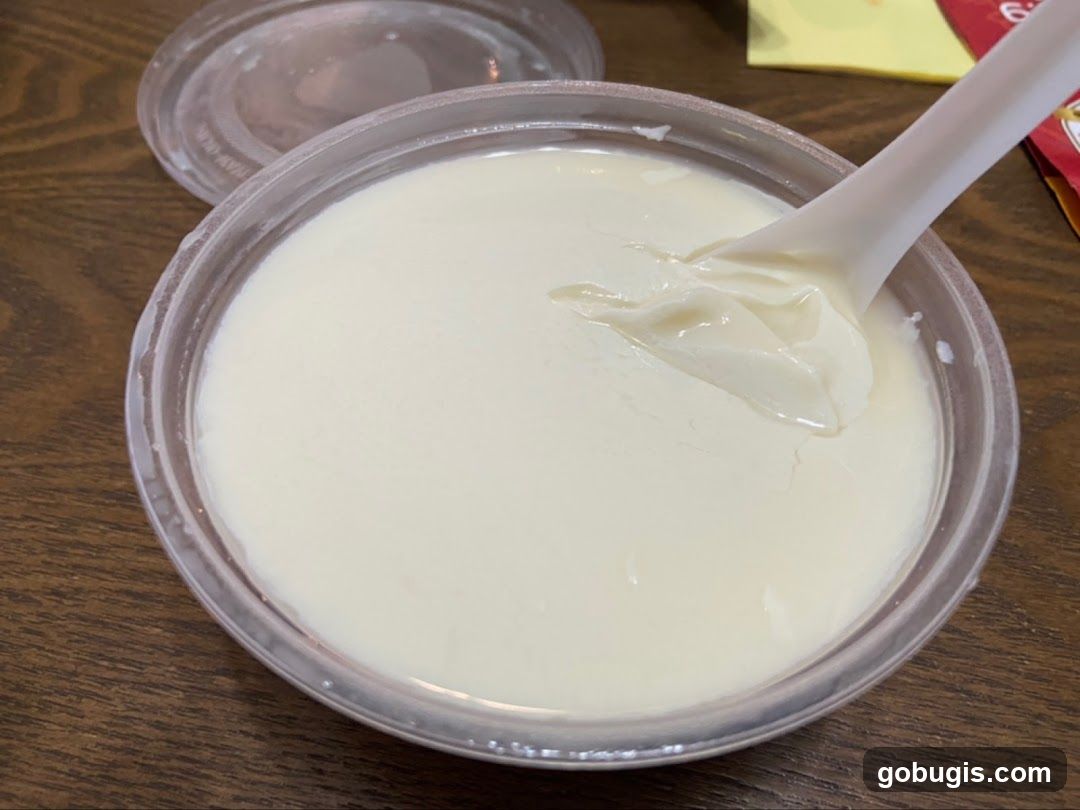 Tofu Pudding