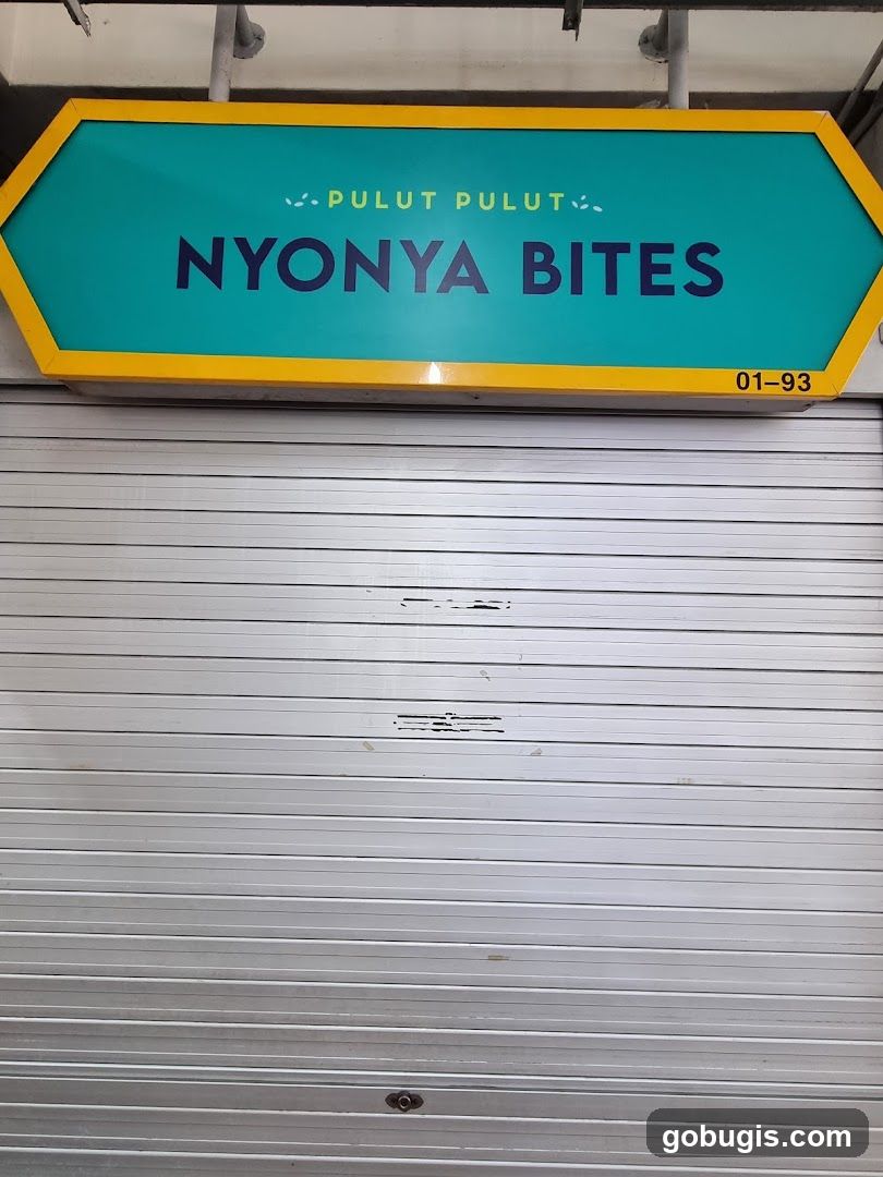 Nyonya Bites