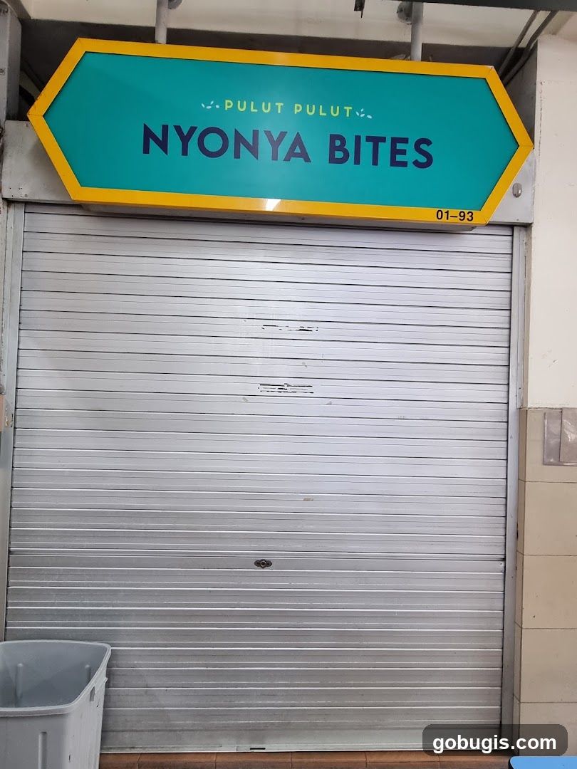 Nyonya Bites