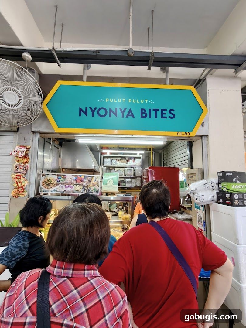 Nyonya Bites