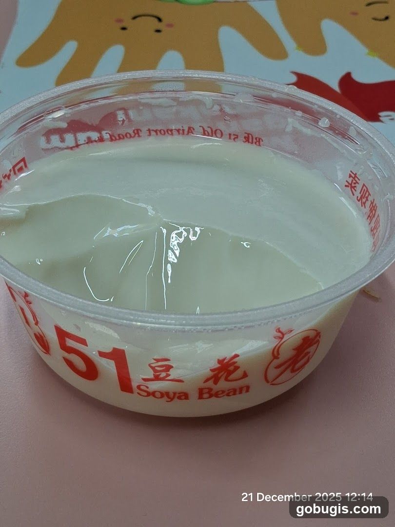 Soya Bean Pudding