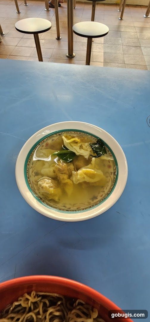 Wonton Soup and Noodles