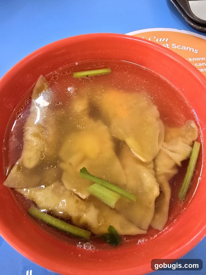 Dumplings in Broth