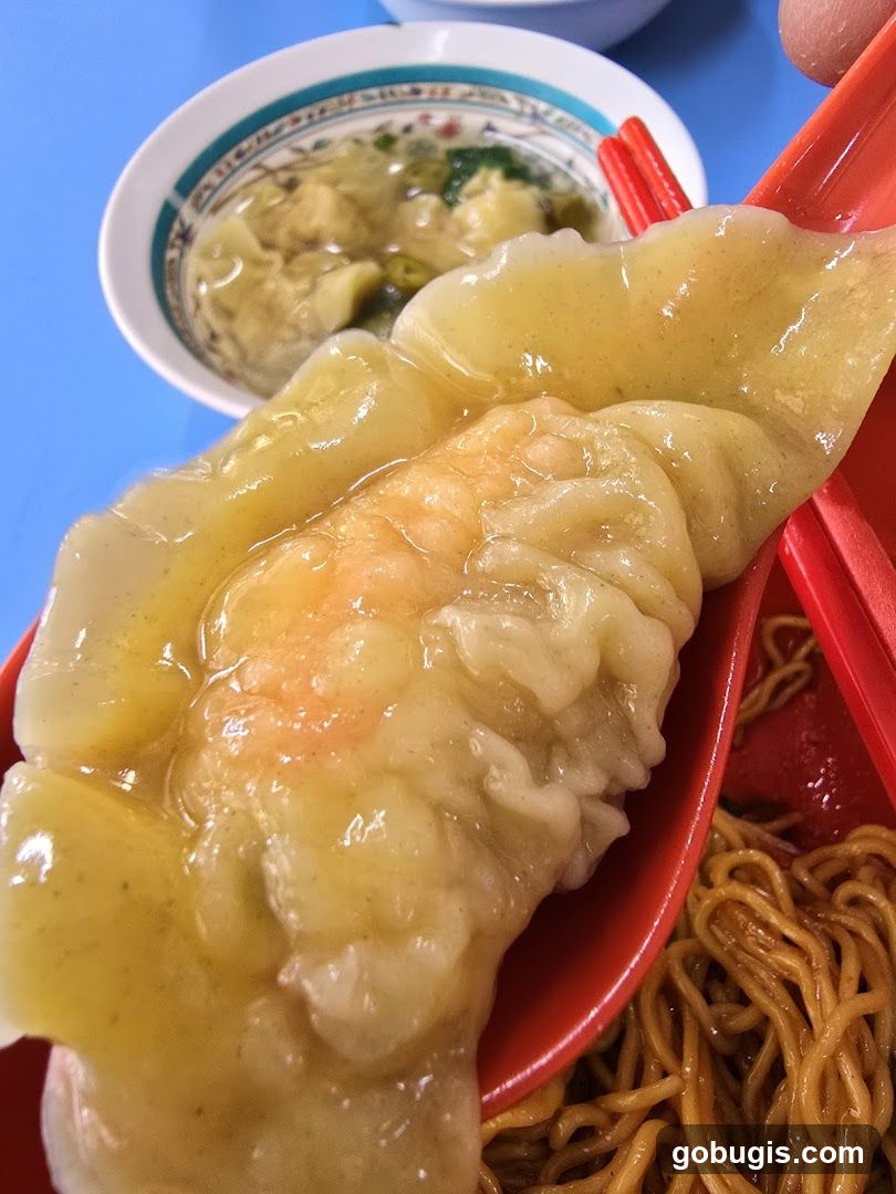 Shrimp Dumplings with Noodles