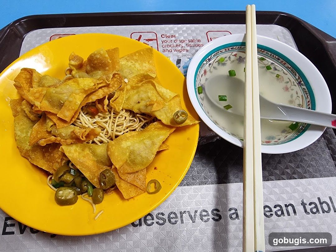 Fried Wontons with Noodles and Soup