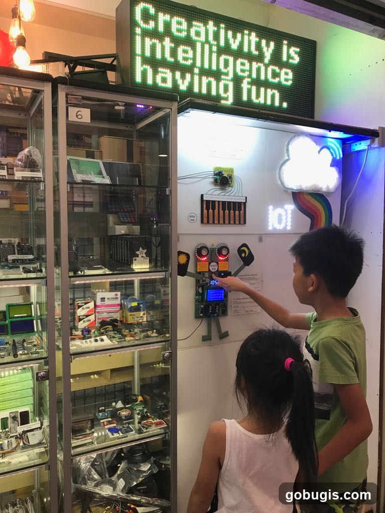 Interactive Display with Electronics