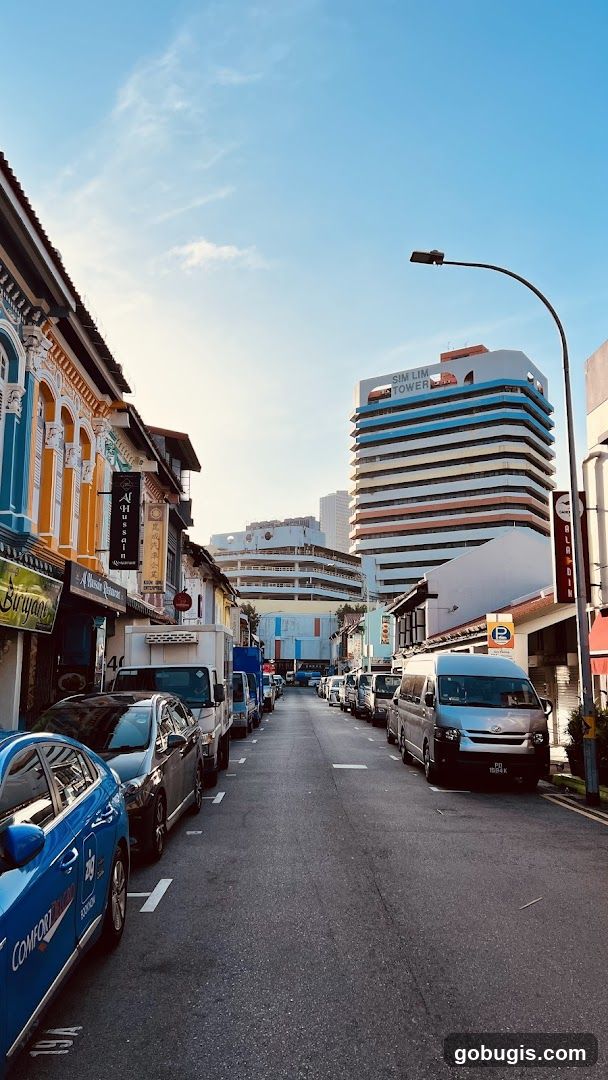 Street Scene with Sim Lim Tower