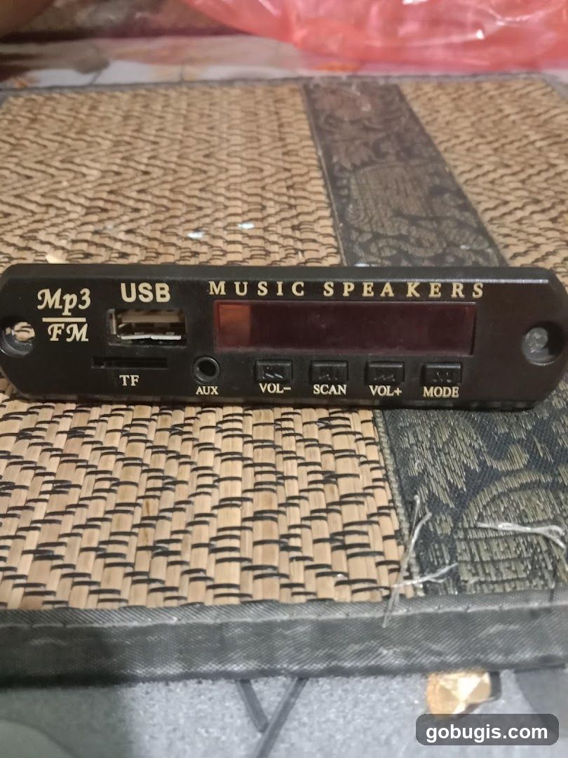 MP3 FM USB Music Speakers Module