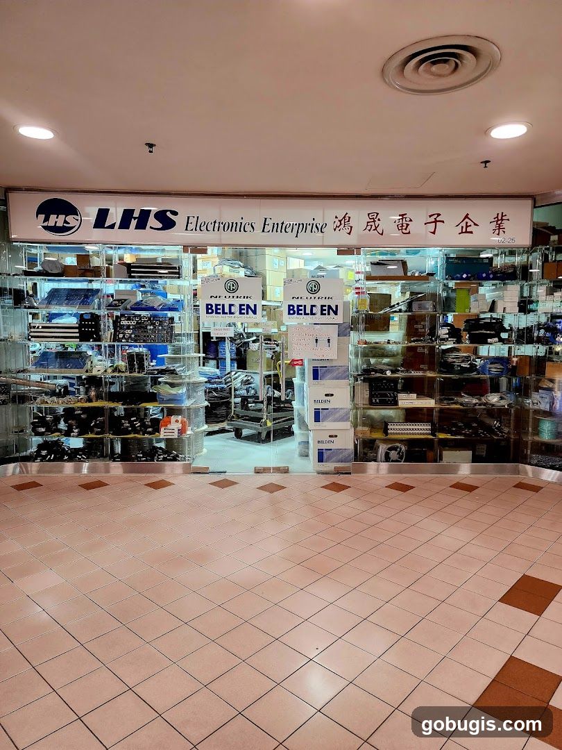 LHS Electronics Enterprise
