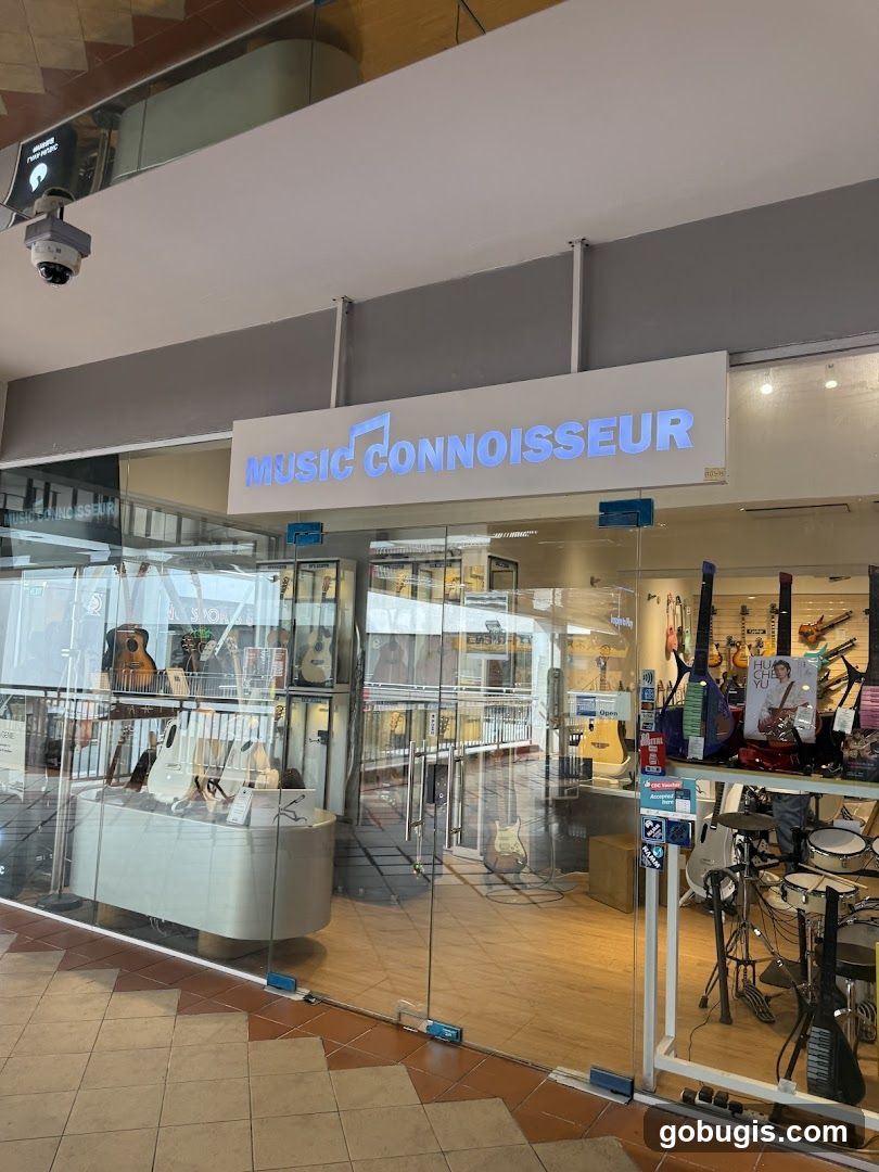 Music Connoisseur Singapore