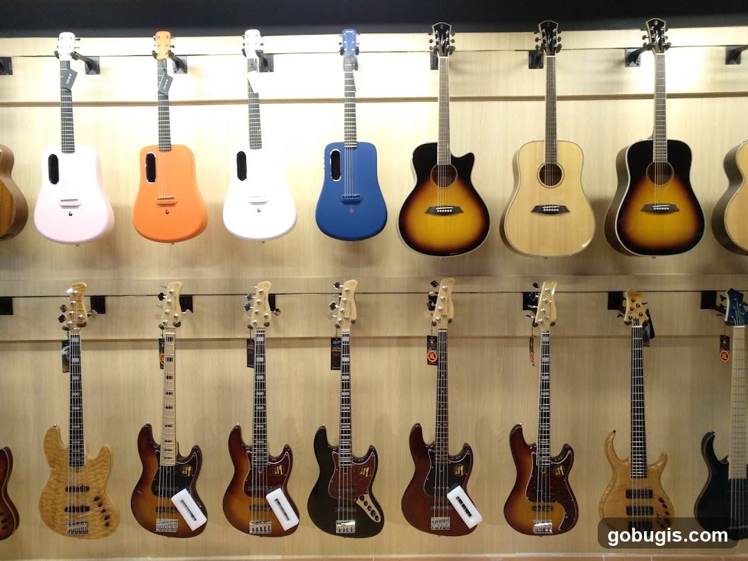 Guitars and Basses on Display