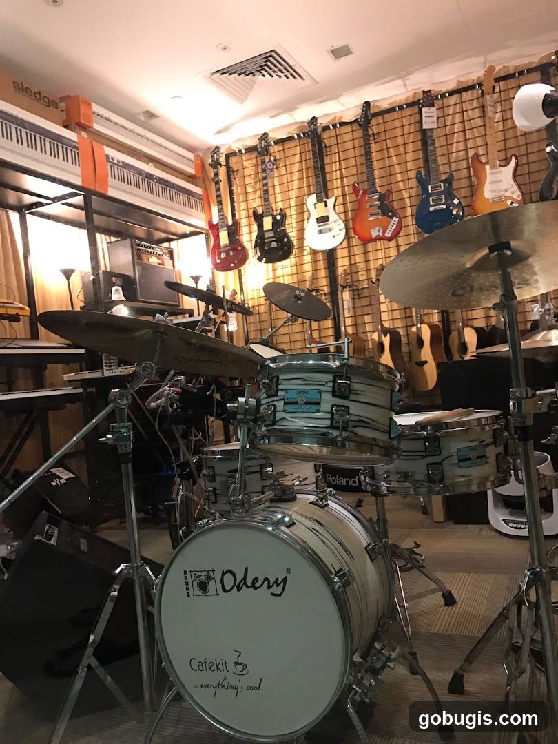 Musical Instrument Store