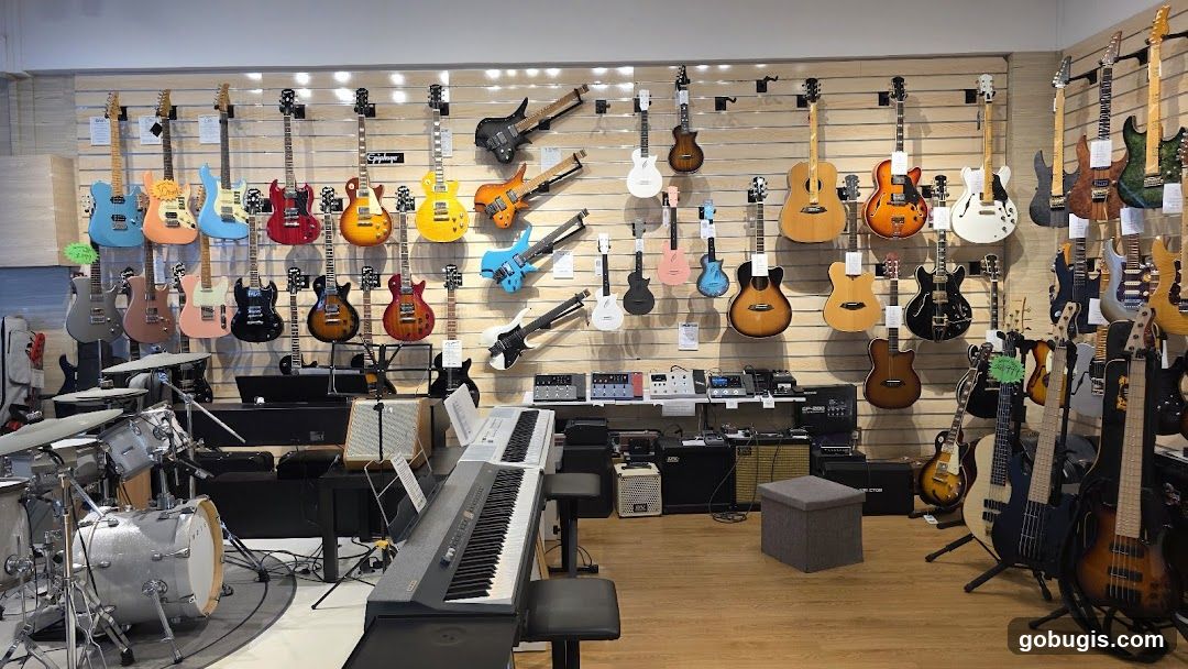 Guitars and Musical Instruments