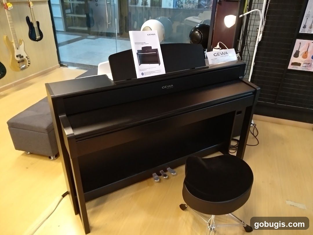 Digital Piano and Accessories