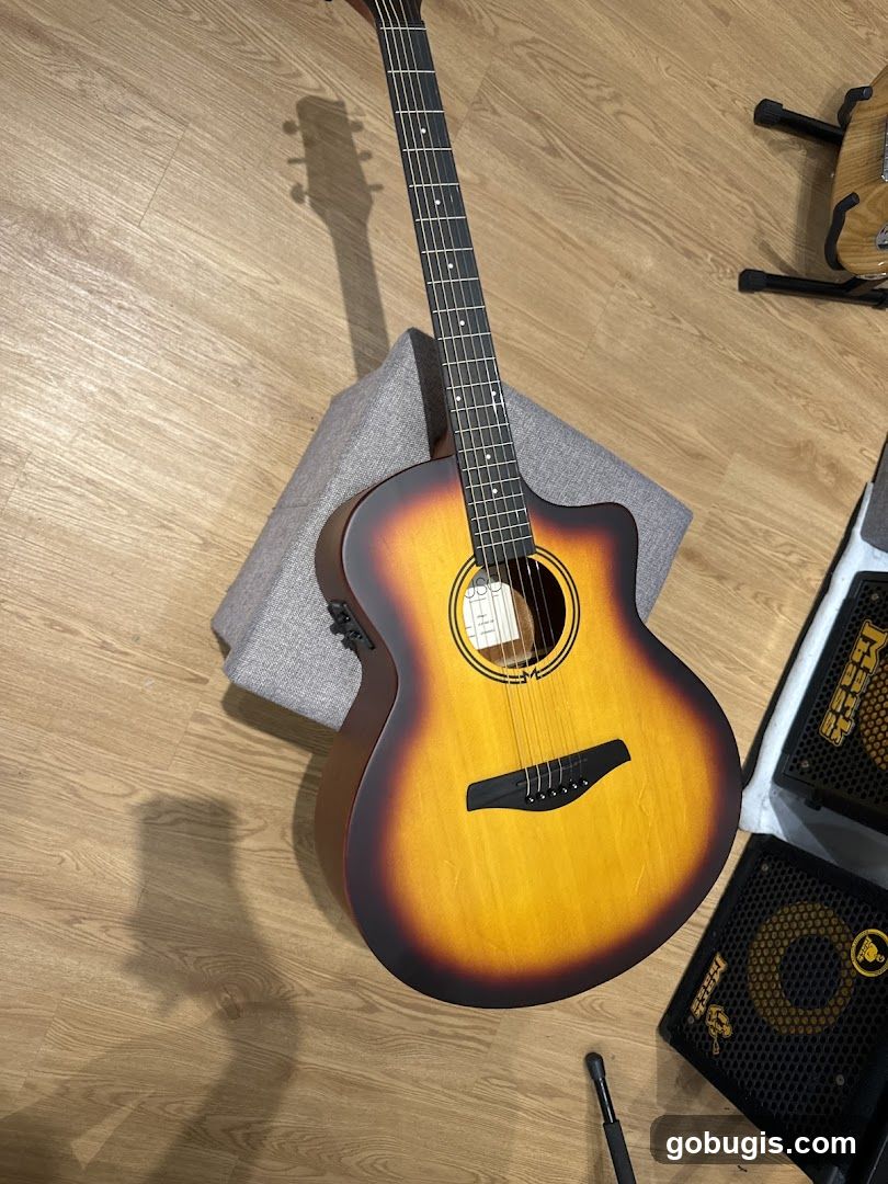 Acoustic Guitar and Amplifiers
