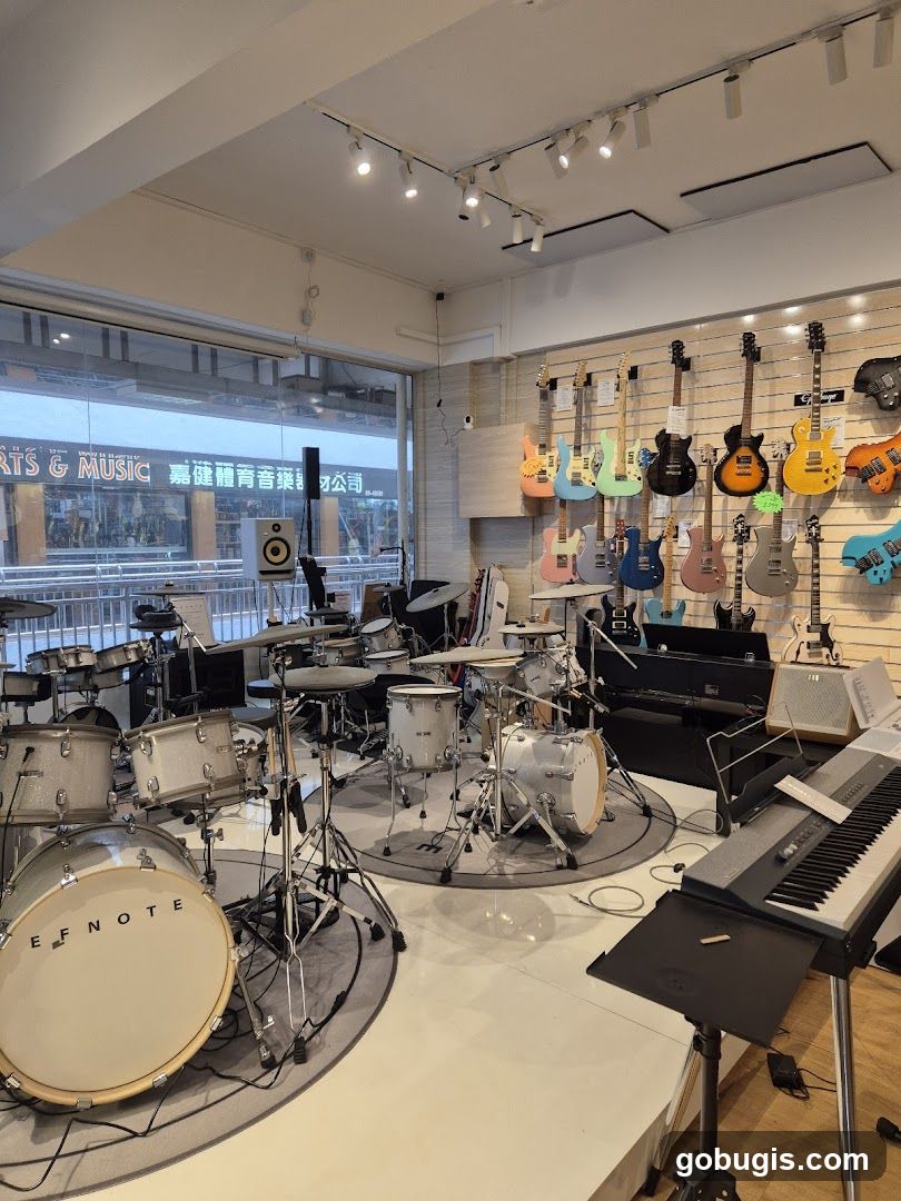 Musical Instrument Store