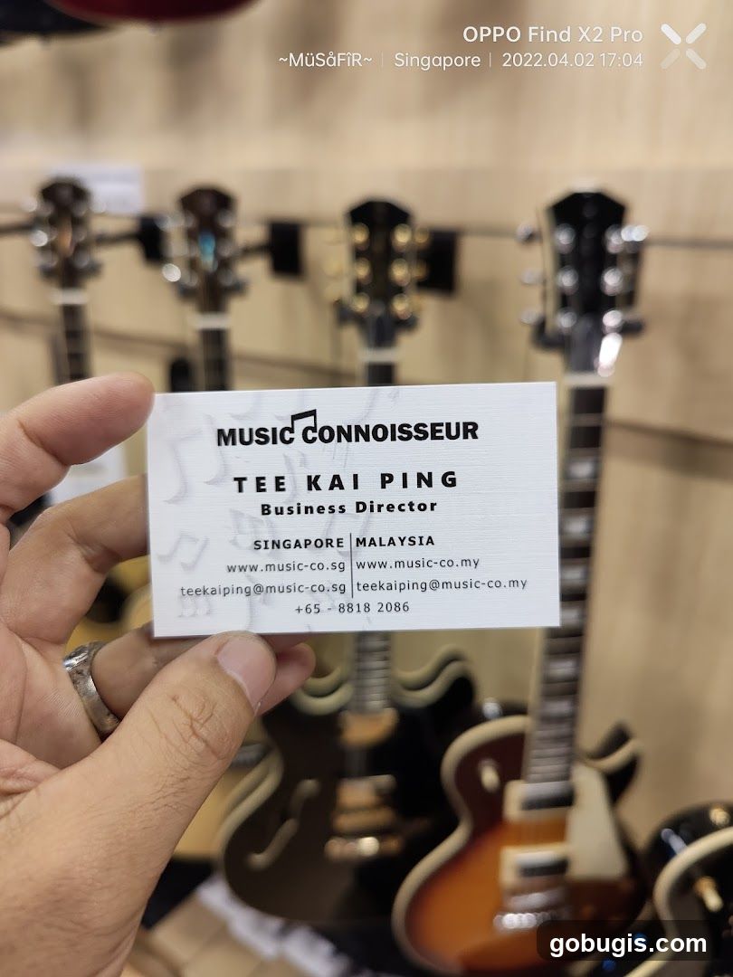 Business Card with Guitars