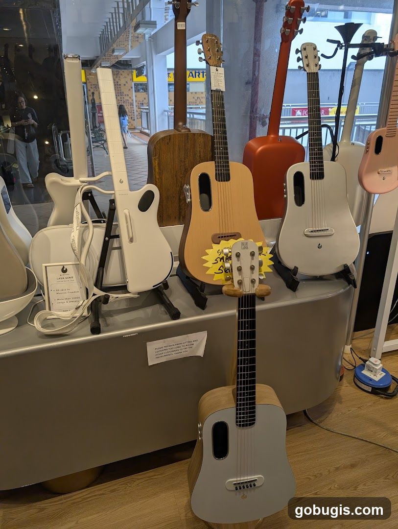 Guitars on Display