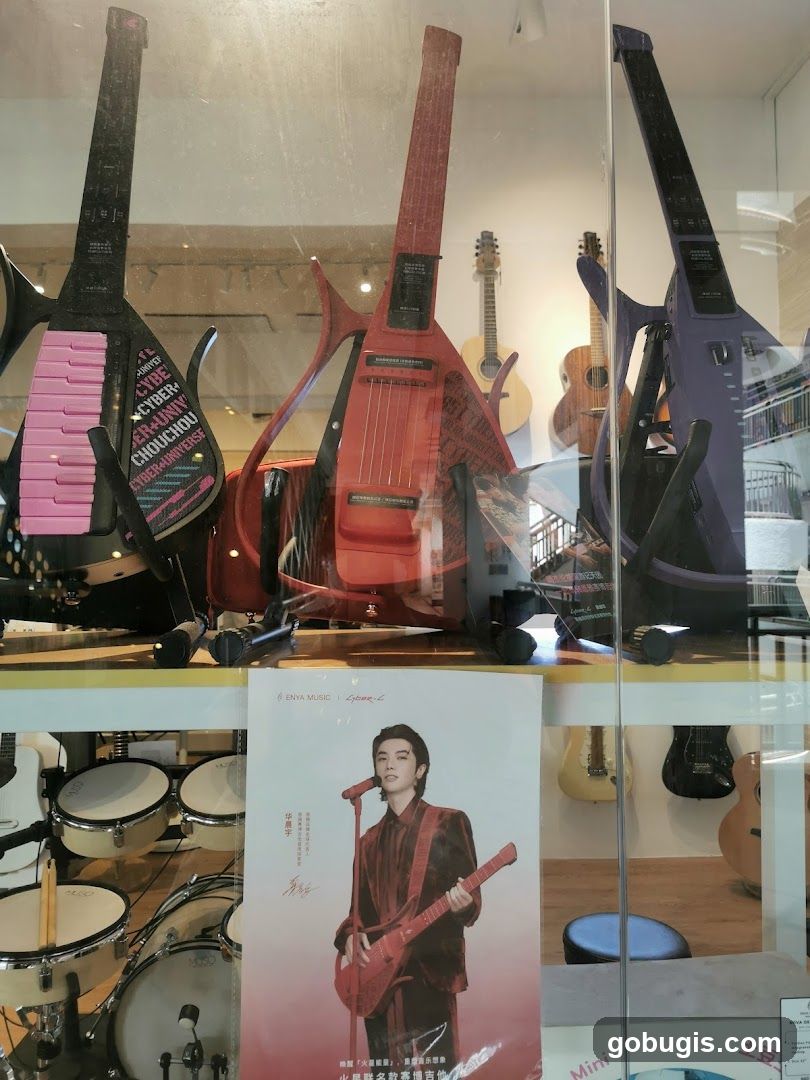 Musical Instruments Display