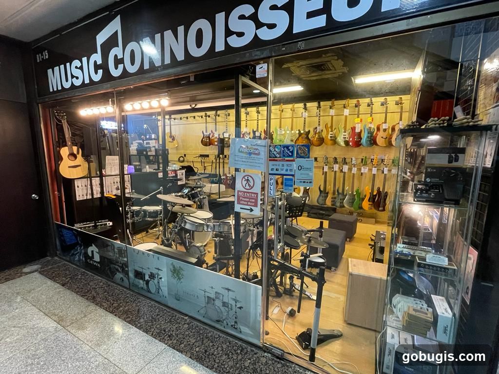 Music Connoisseur Storefront